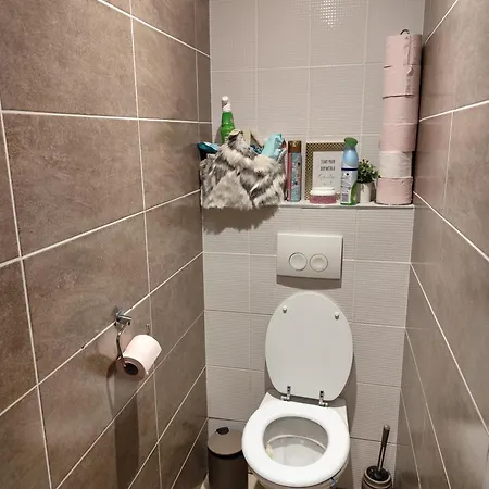 Privat bolig Jolie Moderne Wintzenheim