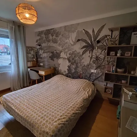 Jolie Moderne Privat bolig Wintzenheim